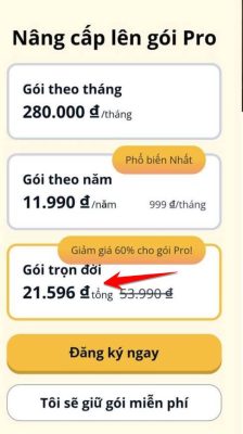 Memrise tron doi gia 21k