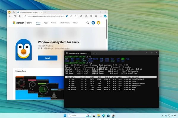 Tại sao cần gỡ cài đặt WSL trên Windows 11?