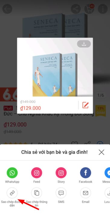 sao chép đường dẫn