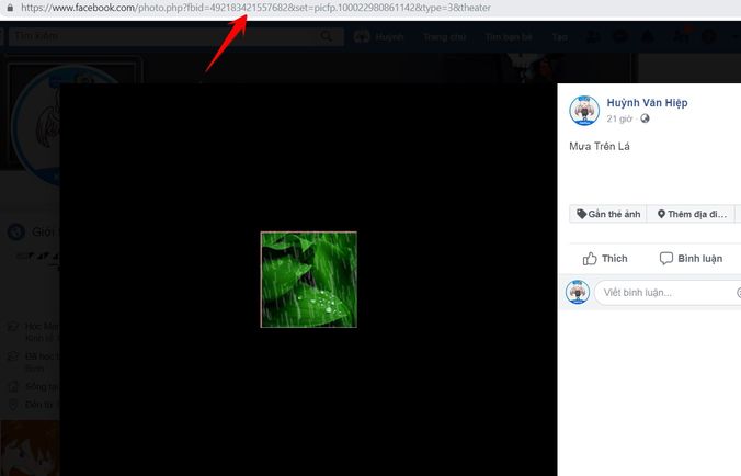 Cách đăng ảnh Gif lên Album Facebook cá nhân - Share ảnh Gif động 8 đăng ảnh Gif lên Album Facebook cá nhân