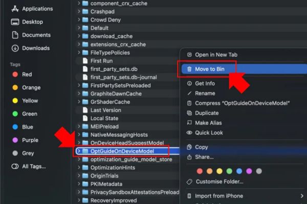 Xóa OptGuideOnDeviceModel