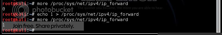 DNS Spoofing - Hack Facebook 26 photo ipforwarding_zps9e90c910.jpg