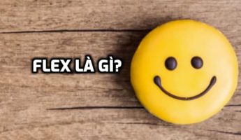 Flex là gì? Flex thường nói trên Facebook, Tiktok là gì? 6 Flex là gì? Flex thường nói trên Facebook, Tiktok là gì? 2