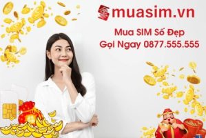 Giải mã ý nghĩa của sim tam hoa 000 8