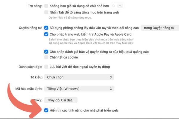 Hướng dẫn cách kích hoạt 120Hz để duyệt Safari mượt mà 15 Đánh dấu vào ô “Hiển thị tính năng cho nhà phát triển web”