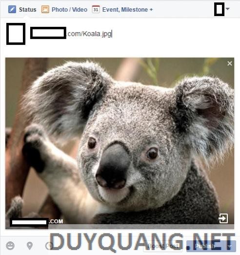 Hướng dẫn Fake hình ảnh để người dùng nhấp vào Link trên Facebook (C2) 8 2-1 (1)