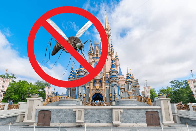 Tại sao Disney World không bao giờ có muỗi