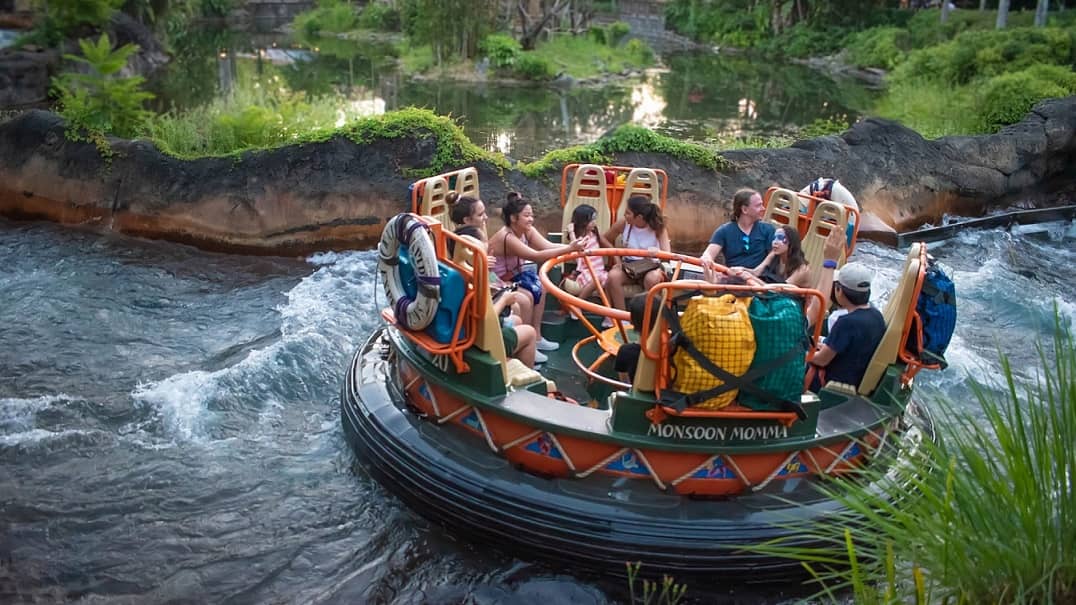 Tại sao Disney World không bao giờ có muỗi