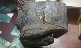 Long Diên Hương là gì? 7 long dien huong la gi