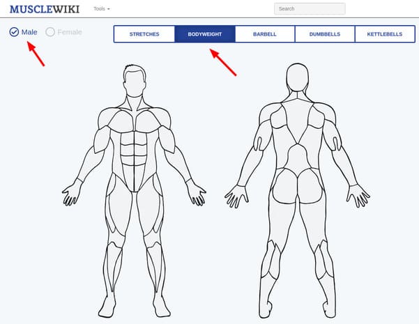 MuscleWiki: Trang web giúp bạn chọn bài tập Gym theo nhóm cơ 16 Cách chọn bài tập theo nhóm cơ trên MuscleWiki