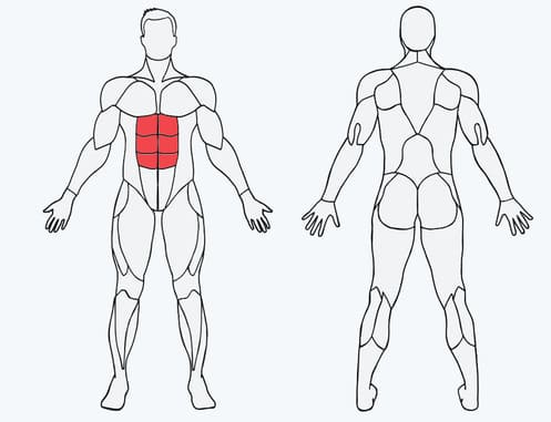 MuscleWiki: Trang web giúp bạn chọn bài tập Gym theo nhóm cơ 17 các bài tập cơ bụng