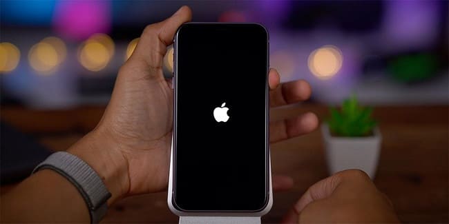 iPhone bị treo logo