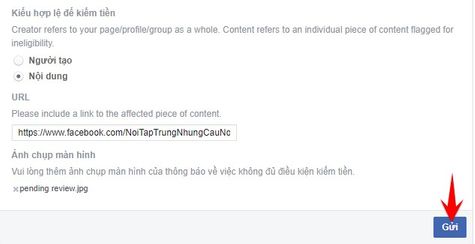 TUT Xanh tiền Video Ad Breaks khi không có nút xét duyệt 9 kháng nghị xanh tiền video ad breaks