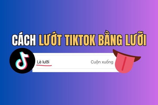 blog-widget