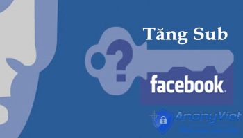 blog-widget