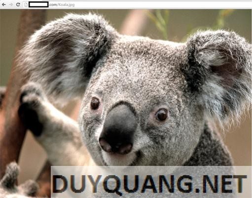 blog-widget