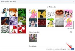 blog-widget