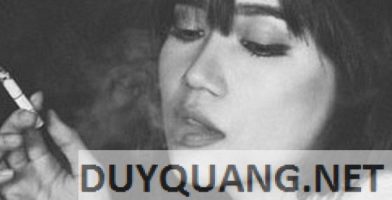 blog-widget